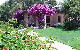 House Suestellas